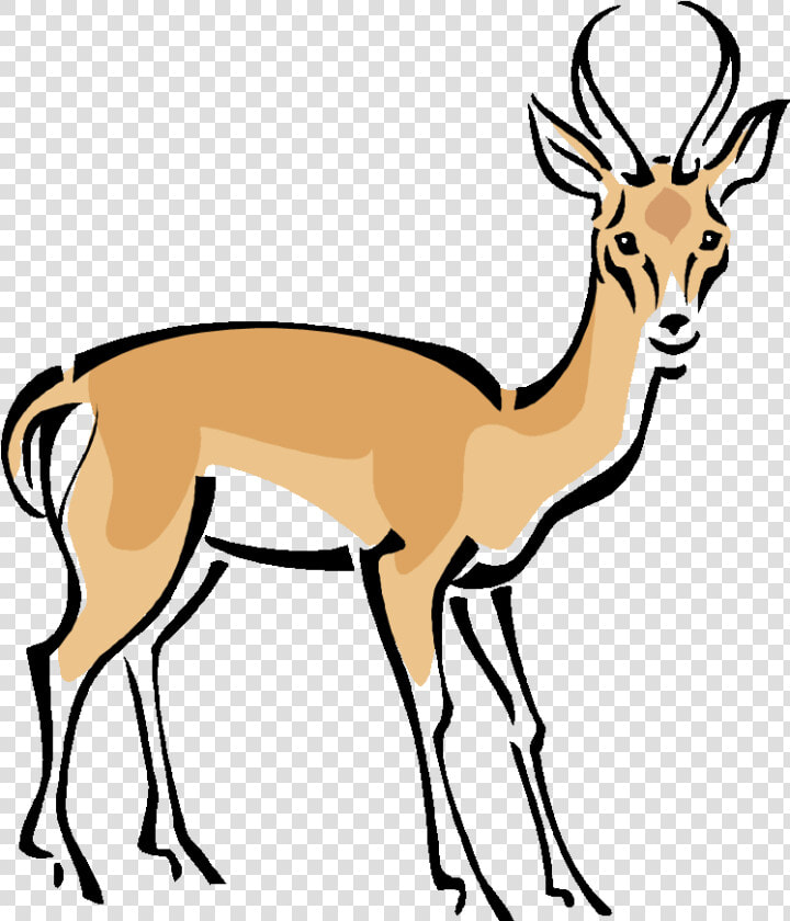 Gazelle Clipart Wild Deer   Deer Gazelle Clipart  HD Png DownloadTransparent PNG