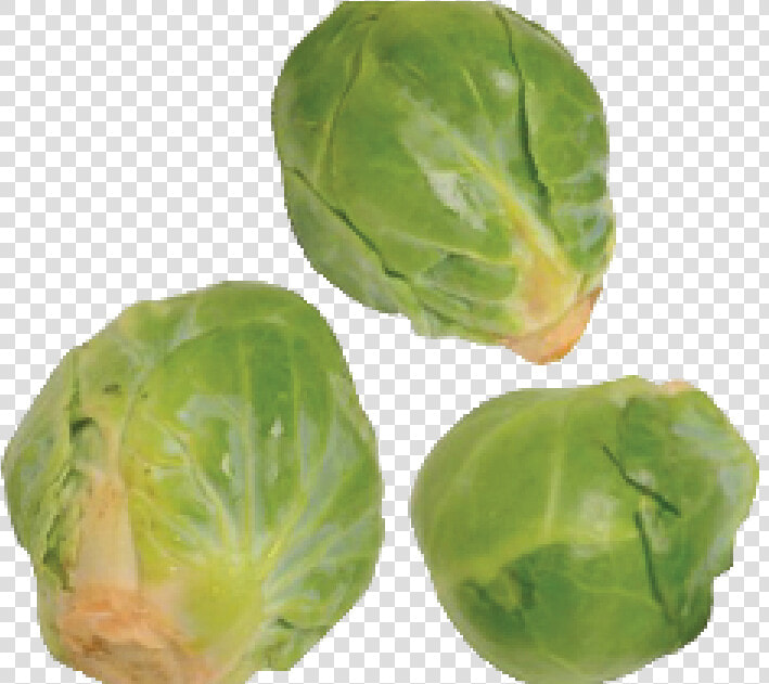 Brussels Sprout  HD Png DownloadTransparent PNG