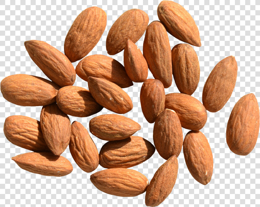 Almond Png Hd   Transparent Background Almonds Png  Png DownloadTransparent PNG