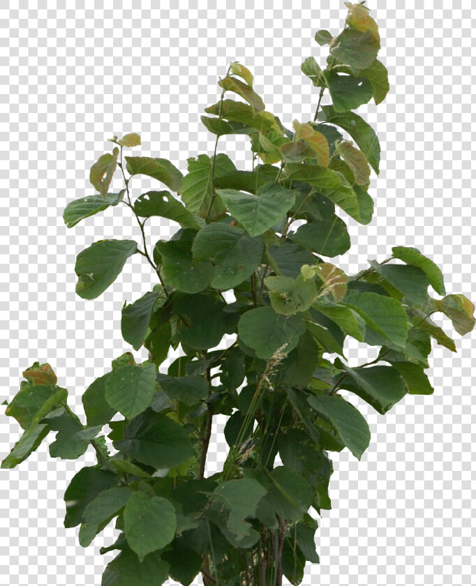 Flowerpot  HD Png DownloadTransparent PNG