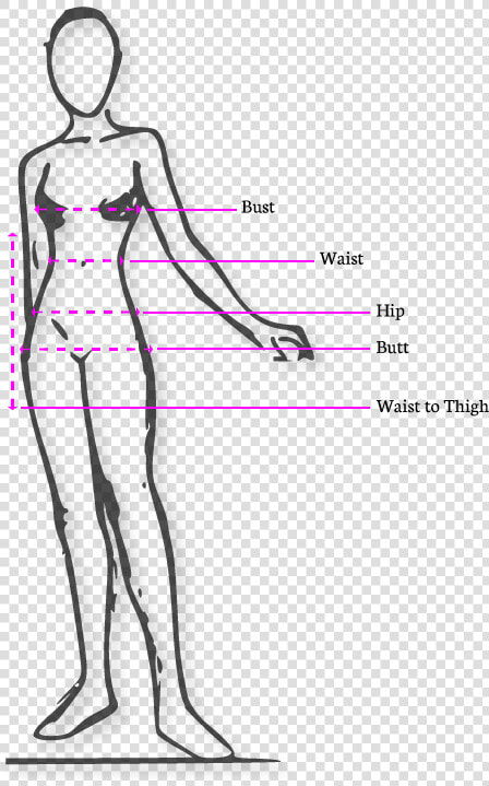 Measure Hips  HD Png DownloadTransparent PNG