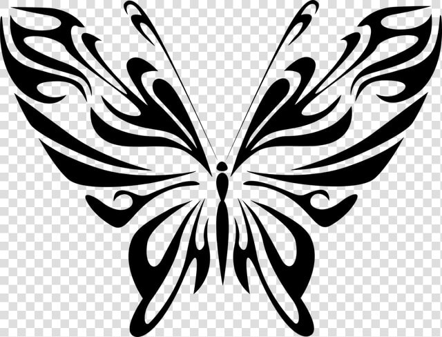 Sketsa Gambar Kupu Kupu   Butterfly Drawing Line Art  HD Png DownloadTransparent PNG