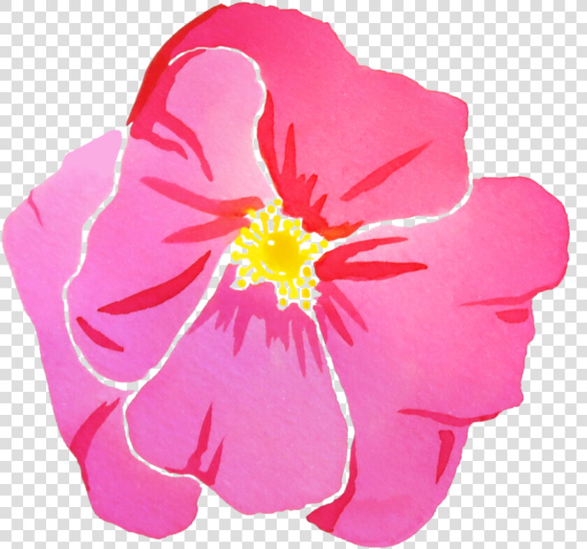 Joanne Imprint Paige Poppe Art   Primrose  HD Png DownloadTransparent PNG