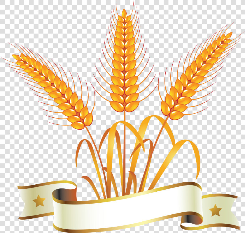 Gold And Silver Wheat Symbol Logos Icons Image   Gold Wheat Logo Png  Transparent PngTransparent PNG