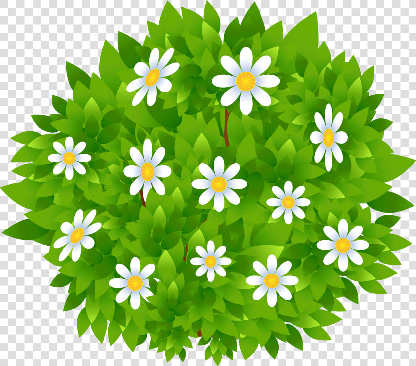 Clip Art Flowering Shrub Clipart   Clipart Bushes Transparent Background  HD Png DownloadTransparent PNG