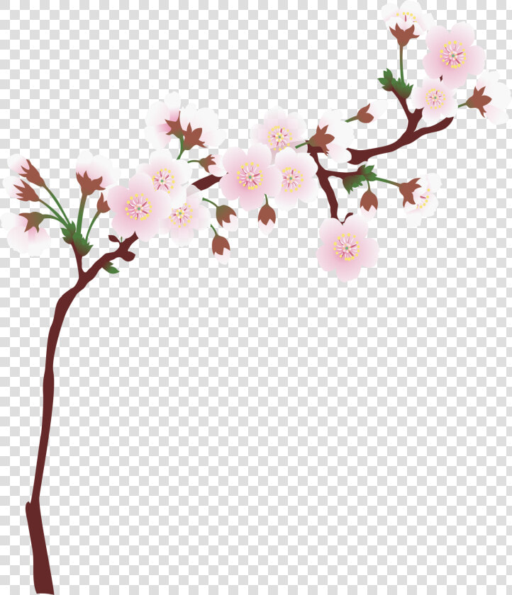 Transparent Cherry Blossom Png   Cherry Blossom Border Clip Art  Png DownloadTransparent PNG