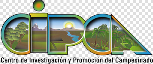 Centro De Investigacion Y Promocion Del Campesinado  HD Png DownloadTransparent PNG