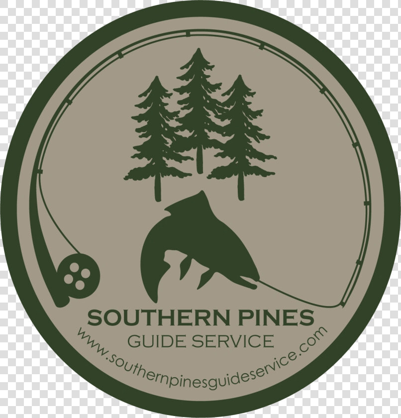 Image33   Colorado Spruce  HD Png DownloadTransparent PNG