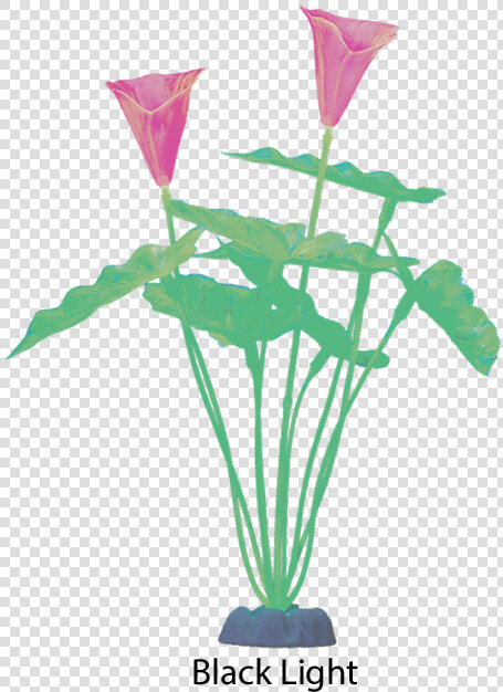 Glofish 19272 Extra Large Color Changing Green Plant   Garden Roses  HD Png DownloadTransparent PNG