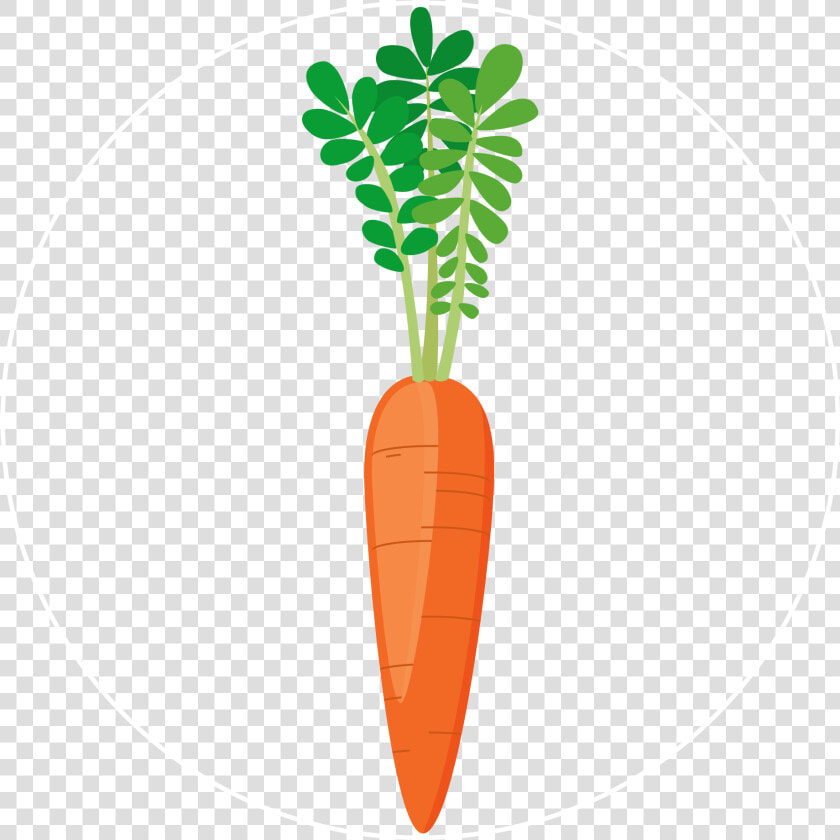 Carrot icon   Baby Carrot  HD Png DownloadTransparent PNG