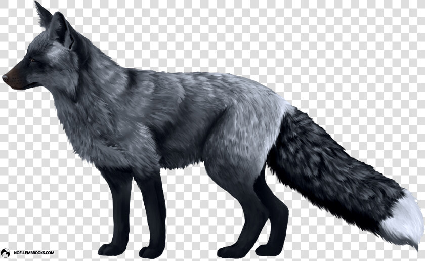 Red Foxes Png  Transparent PngTransparent PNG