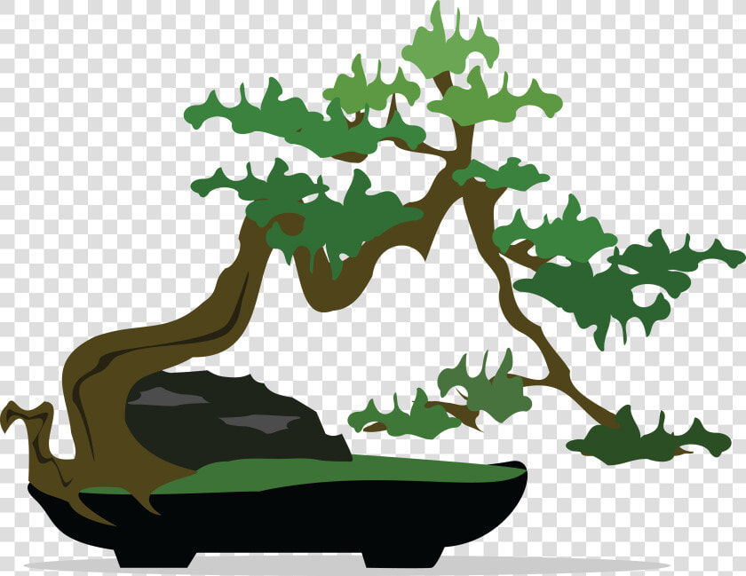 Transparent Bonsai Tree Png   Bonsai Tree Bonsai Clipart  Png DownloadTransparent PNG