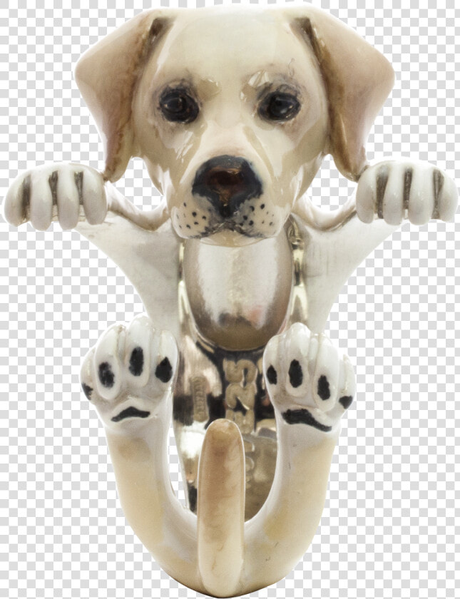 Transparent Labrador Png   Dog Fever Anello Labrador  Png DownloadTransparent PNG