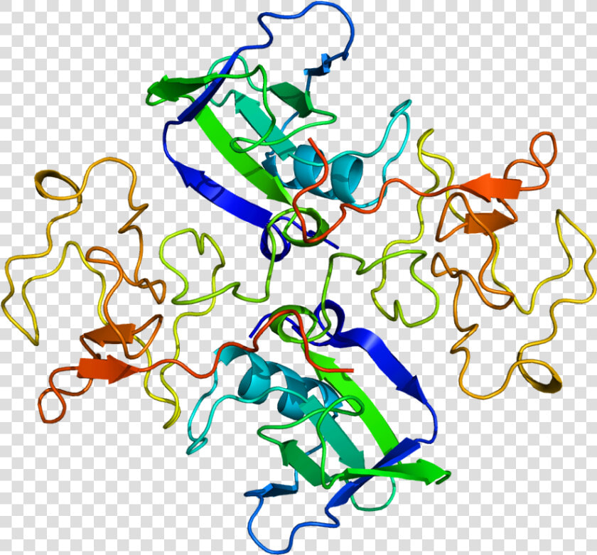 Protein Hgf Pdb 1bht   Hepatocyte Growth Factor Structure  HD Png DownloadTransparent PNG