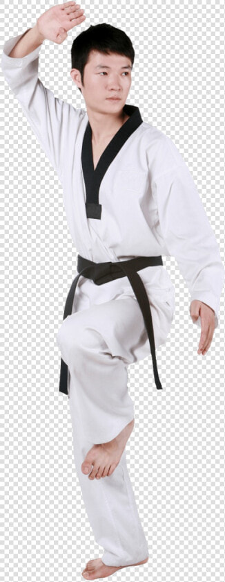 Taekwondo Wtf Foto Png  Transparent PngTransparent PNG