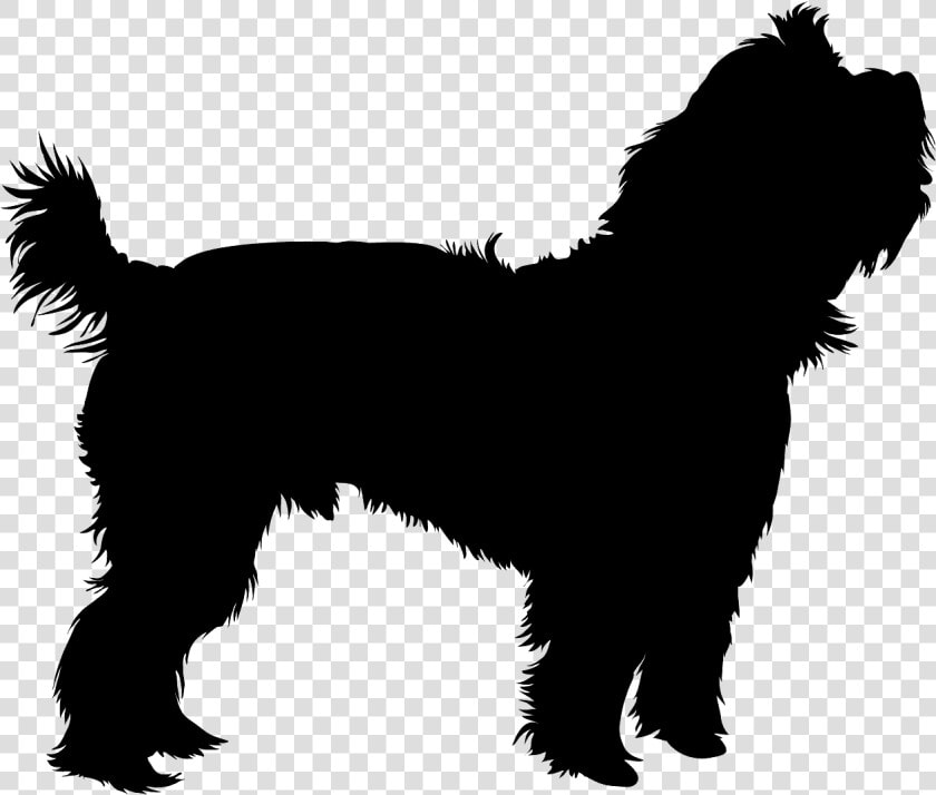 Yorkie Silhouette Vector  HD Png DownloadTransparent PNG