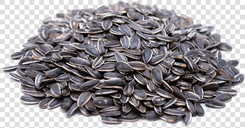 Sunflower Seeds Transparent Image   Sunflower Seeds Transparent Background  HD Png DownloadTransparent PNG