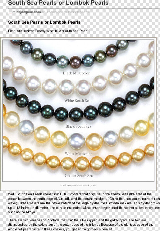 Transparent Strand Of Pearls Png   South Sea Pearl Shapes  Png DownloadTransparent PNG