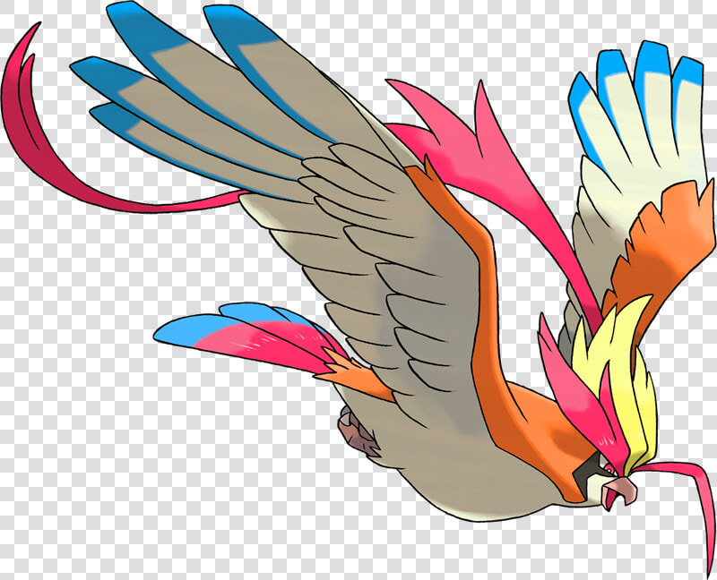 Mega Pidgeot  HD Png DownloadTransparent PNG