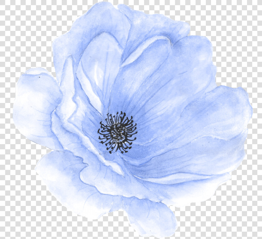 Hand Painted Flower Watercolor Flowers Clipart Blue  HD Png DownloadTransparent PNG