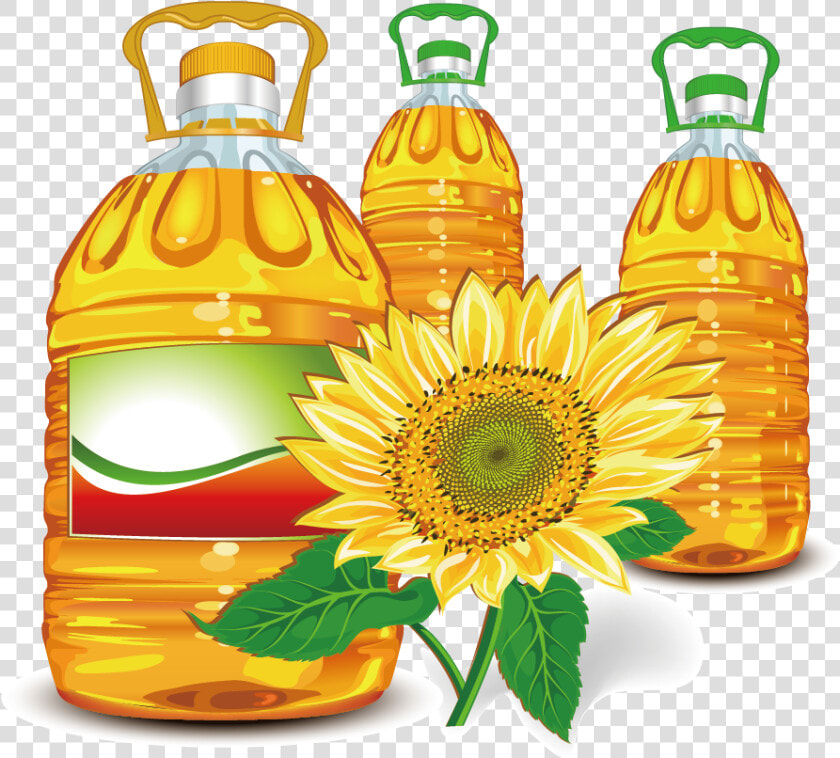 Png Library Stock Sunflower Olive Clip Art   Palm Oil Clip Art  Transparent PngTransparent PNG