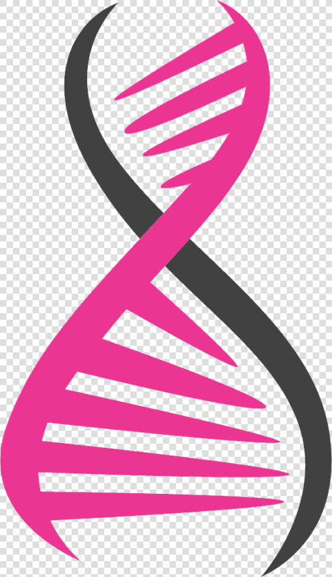 Transparent Dna Clipart   Pink Dna Png  Png DownloadTransparent PNG