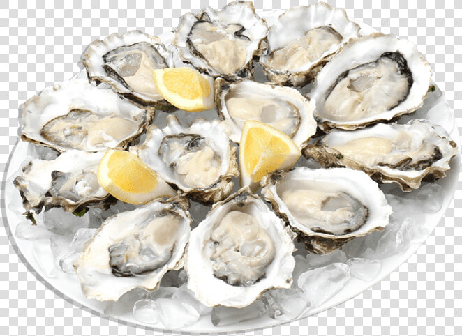 Oysters   Oysters Png  Transparent PngTransparent PNG