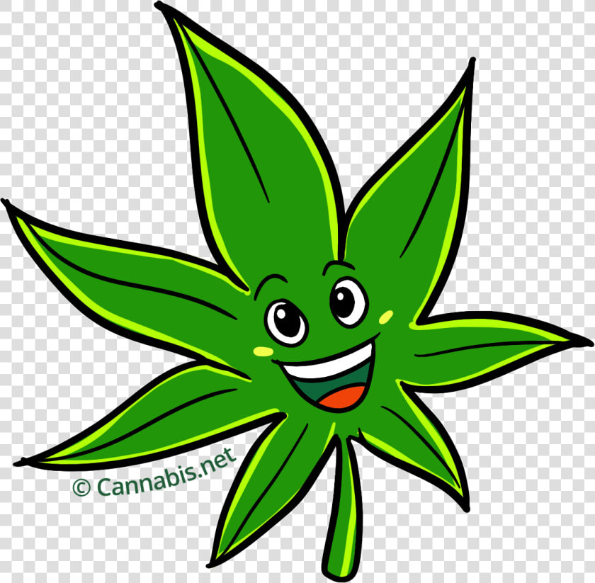 Transparent Marijuana Clipart   Cartoon Marijuana Png  Png DownloadTransparent PNG