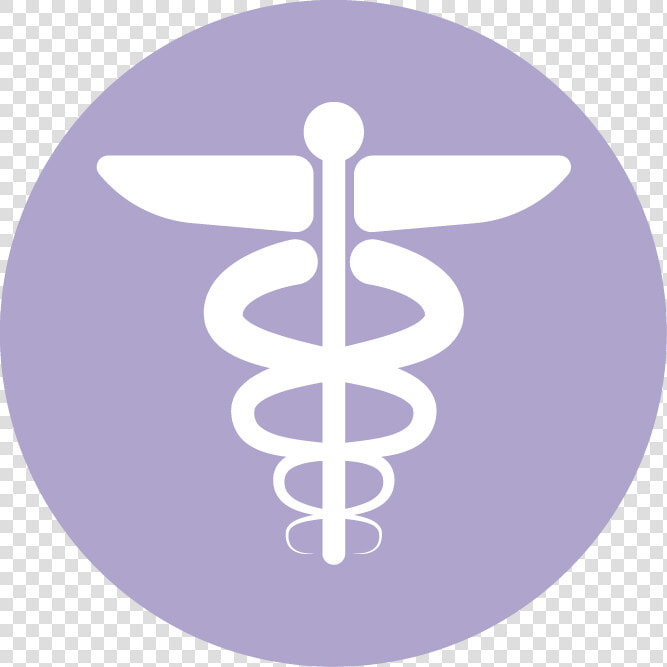 Health Round Icon Png   Png Download   Health Round Icon Png  Transparent PngTransparent PNG