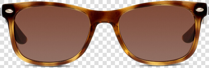 Front View   Oculos Ray Ban Erika  HD Png DownloadTransparent PNG