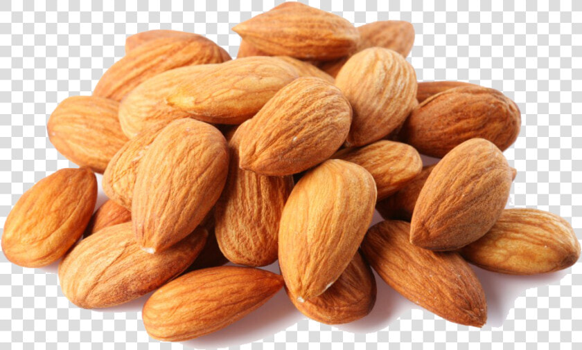 Almond Png   Transparent Almonds Png  Png DownloadTransparent PNG