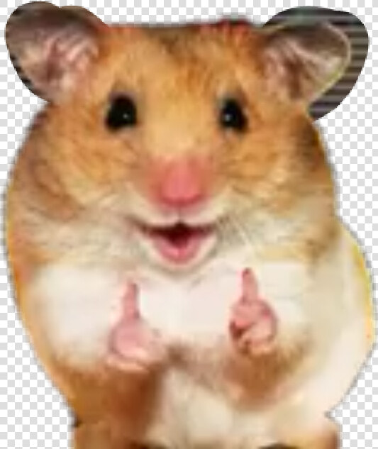  like good kiut  hamster  happy  hi momos  HD Png DownloadTransparent PNG