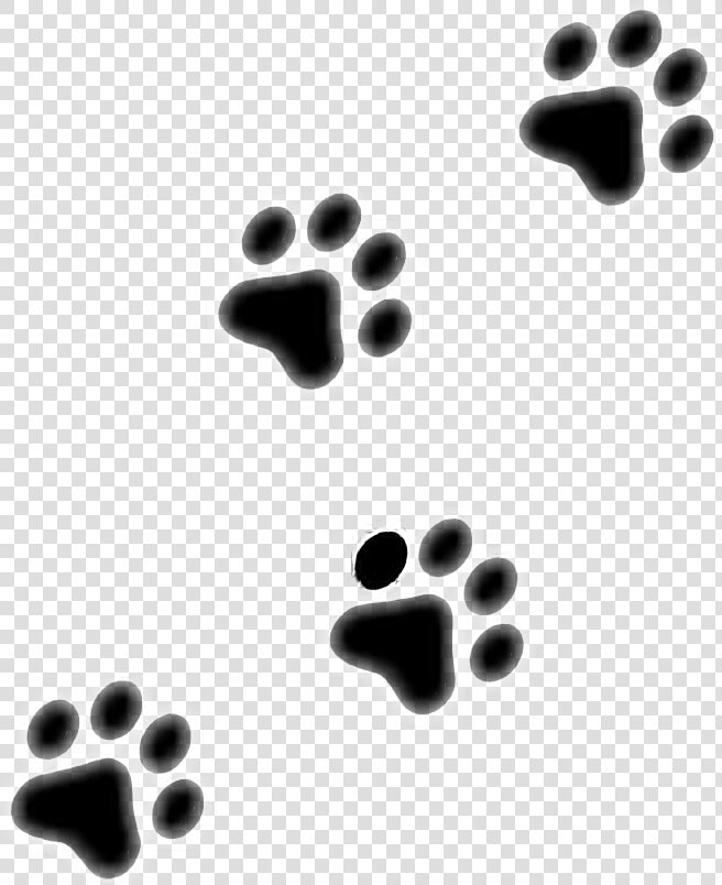 Huellas De Perro Sin Fondo  HD Png DownloadTransparent PNG