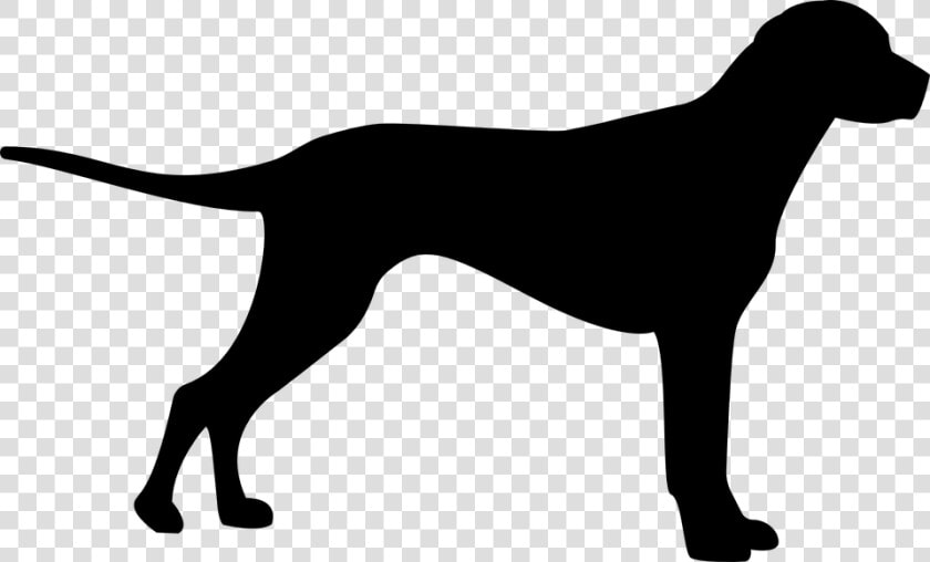 Dog  Silhouette  Animal  Domestic Dog  Farmdog   Coon Silhouette Clip Art  HD Png DownloadTransparent PNG