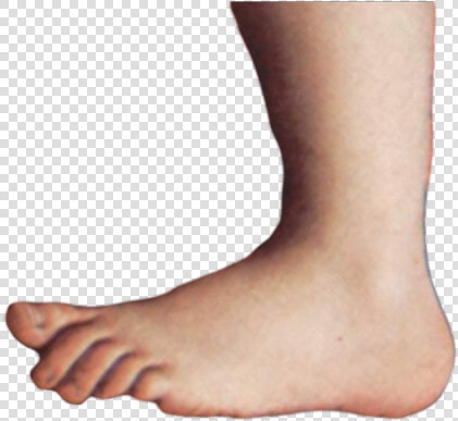 Freetoedit Montypythonfoot Foot Googleimage   Monty Python Foot Png  Transparent PngTransparent PNG