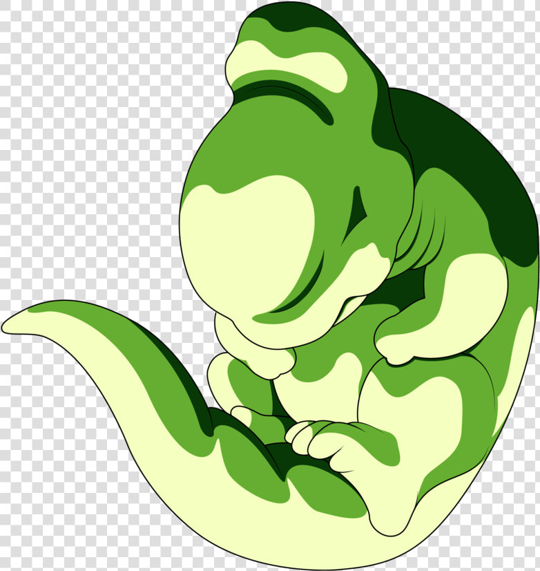 No Caption Provided   Dragon Ball Cell Larva State  HD Png DownloadTransparent PNG