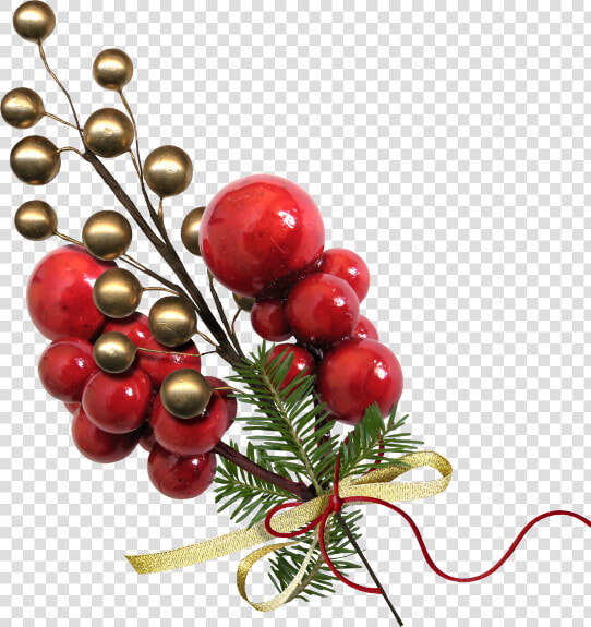 Christmas Bonus Kit   Christmas Tree  HD Png DownloadTransparent PNG