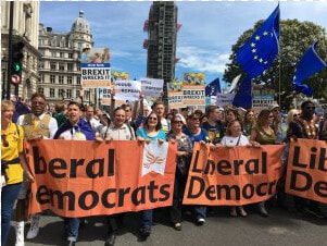 Libdems At Brexit March   Roller Coaster  HD Png DownloadTransparent PNG