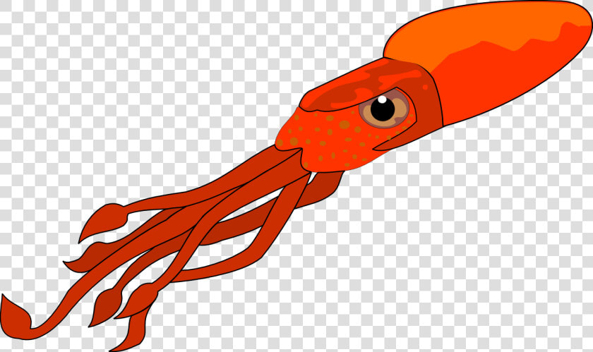 Squid Png 71   Squid Clip Art  Transparent PngTransparent PNG