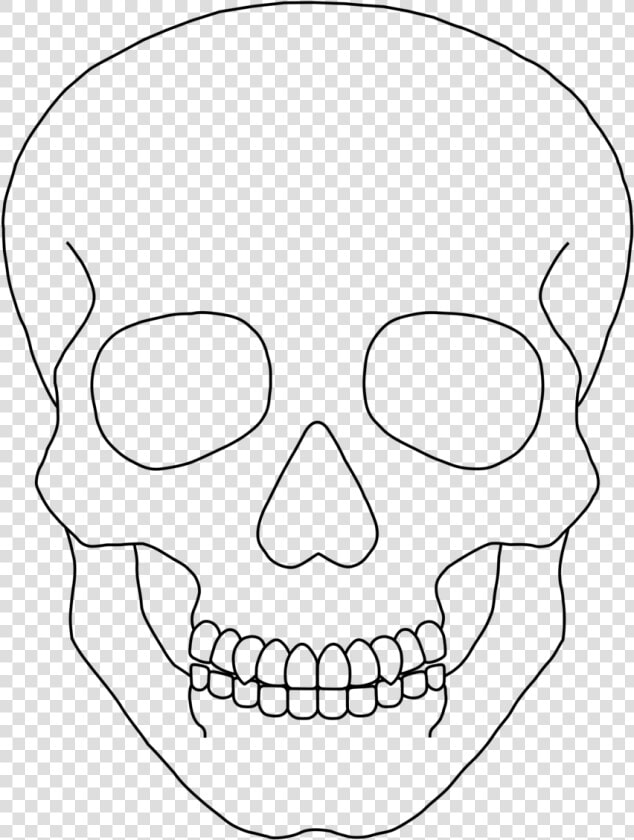 Clipart Skull Basic   Simple Human Skull Drawing  HD Png DownloadTransparent PNG