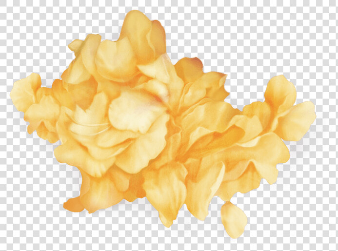 Flowers  Png  And Yellow Image   Wild Troye Sivan Png  Transparent PngTransparent PNG