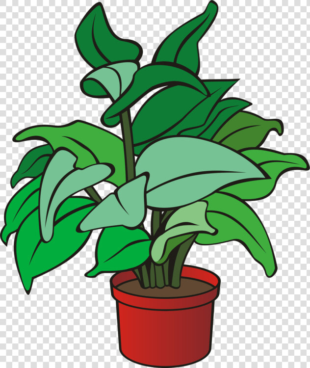 Plant flower leaf   Clipart Of A Plant  HD Png DownloadTransparent PNG