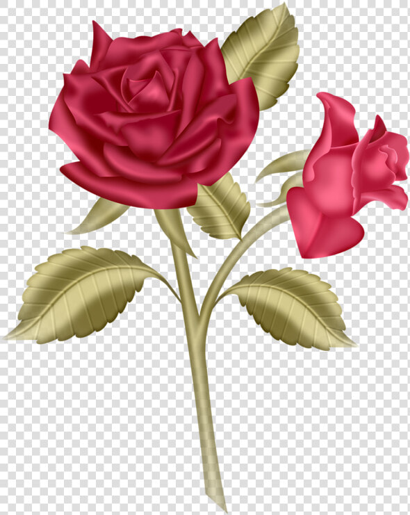 Фотки Site Russe  Like Image  Yandex  May Flowers    Red White And Blue Flower Clipart Free  HD Png DownloadTransparent PNG