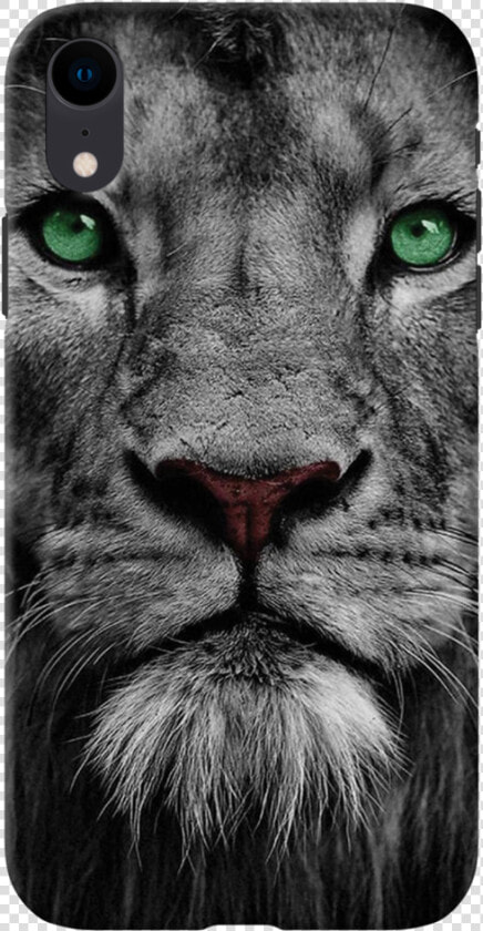 Lion Face Case Cover For Iphone Xr   Black And White Photo Of Lions  HD Png DownloadTransparent PNG