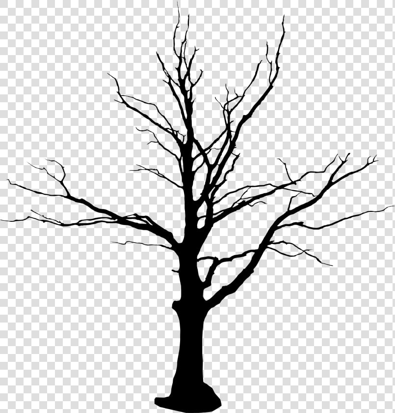 Tree Vector Png Images   Tree Without Leaves Png  Transparent PngTransparent PNG