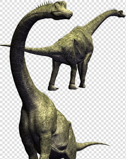 Brachiosaurus Transparent  HD Png DownloadTransparent PNG