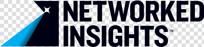 Networked Insights Logo  HD Png DownloadTransparent PNG