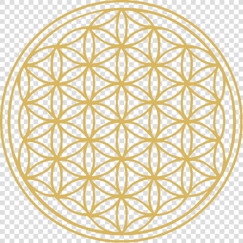 Flower Of Life   Flower Of Life Large  HD Png DownloadTransparent PNG