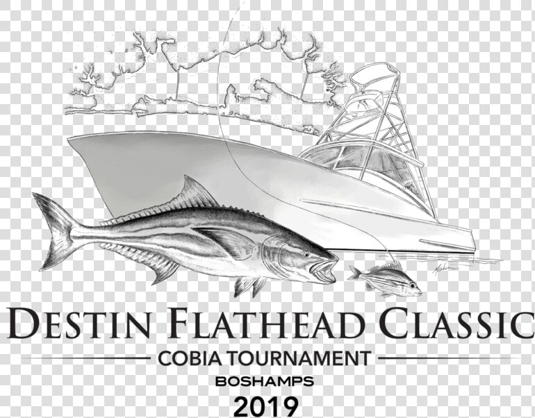 Destin Flathead Classic   Atlantic Blue Marlin  HD Png DownloadTransparent PNG