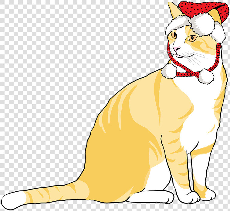 Cat  Christmas Cat  Animal  Pet  Christmas  Cute   Cat Yawns  HD Png DownloadTransparent PNG